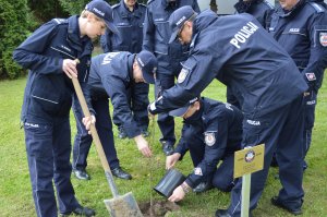 policjanci sadzą drzewo