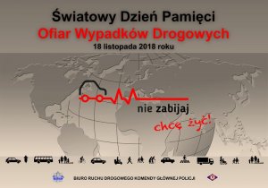 zdjęcie akcji Światowy Dzień Wypadków Drogowych