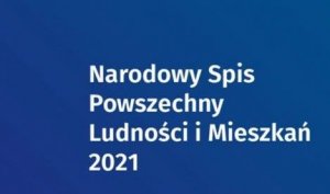 narodowy spis powszechny ludności i mieszkań w 2021 roku