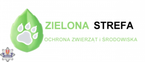 zielona strefa