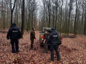 policjanci i strażnicy leśni w lesie