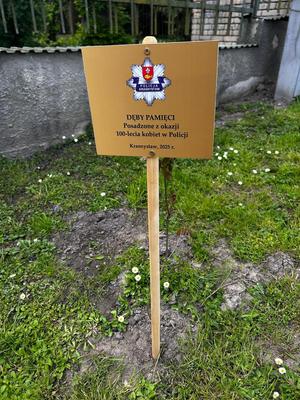 tabliczka z napisem Dęby pamięci posadzone z okazji 100-lecia kobiet w Policji