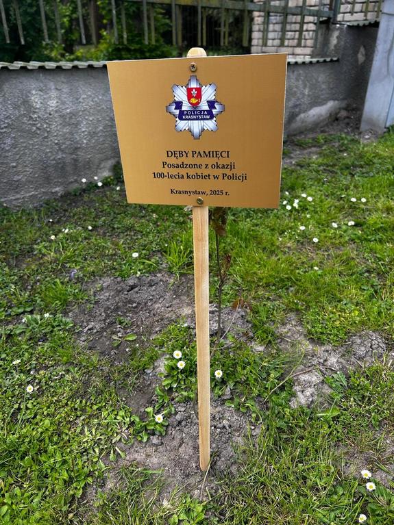 tabliczka z napisem Dęby pamięci posadzone z okazji 100-lecia kobiet w Policji