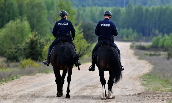 Dwaj funkcjonariusze na koniach.
