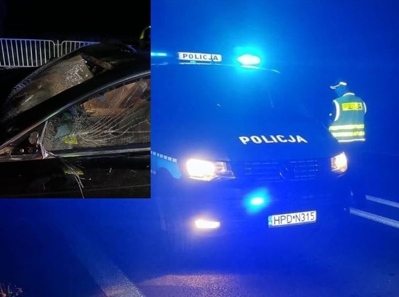 radiowóz i samochód po zderzeniu z dzikim zwierzęciem