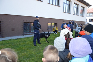 policjant, przewodnik psa służbowego z psem