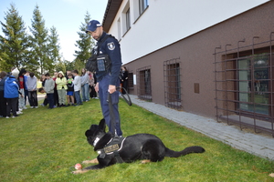 policjant, przewodnik psa służbowego z psem