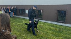 policjant, przewodnik psa służbowego z psem