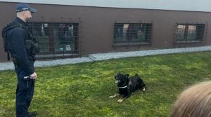 policjant, przewodnik psa służbowego z psem