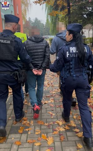 zatrzymany prowadzony przez policjantów