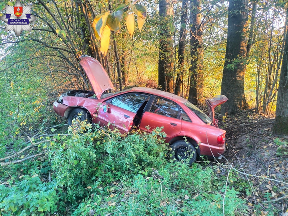 rozbite auto w krzakach