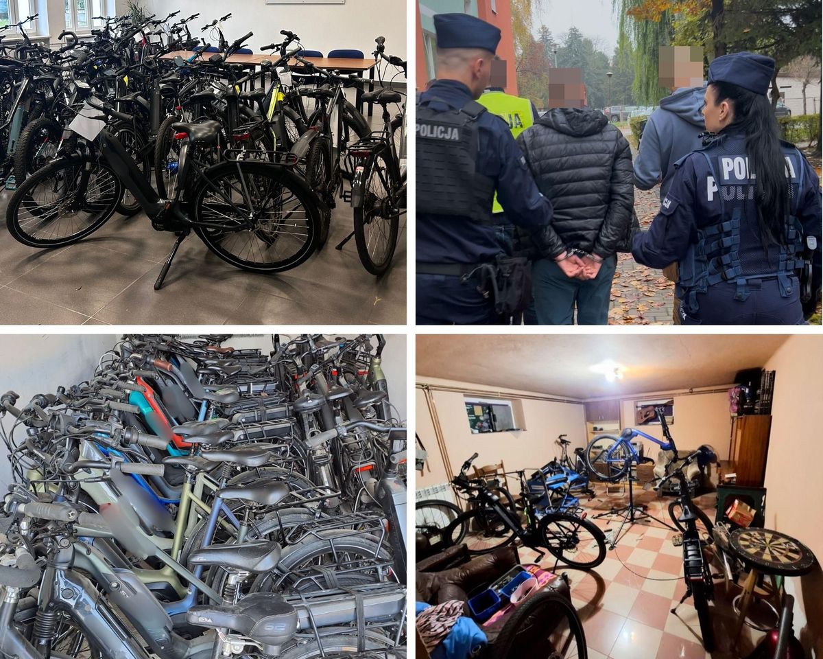 Kryminalni z Krasnegostawu rozbili grupę przestępczą zajmująca się kradzieżami rowerów