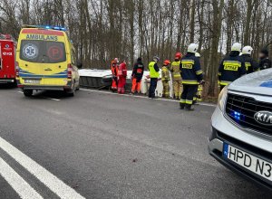 wypadek autokaru, poszkodowani i służby